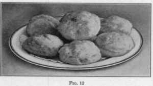 [Illustration: FIG. 12]